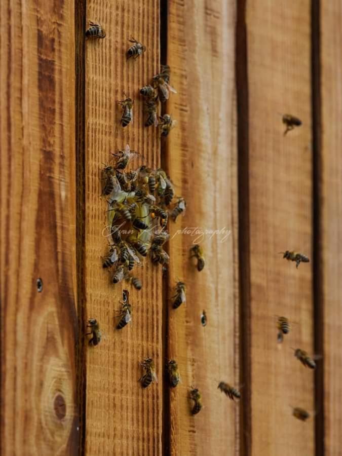 Hisa Zdravega Oddiha Apartman Begunje pri Cerknici Kültér fotó